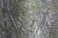 Bushey Mead fibreglass roof work